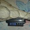 Selle Italia SLR Limited Earth 2005