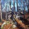 Kona w promieniach s�o�ca.