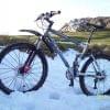 Kona w �niegu.