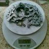  Shimano CN-7701 + spinka (106)