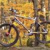 Kona Jesieni�
