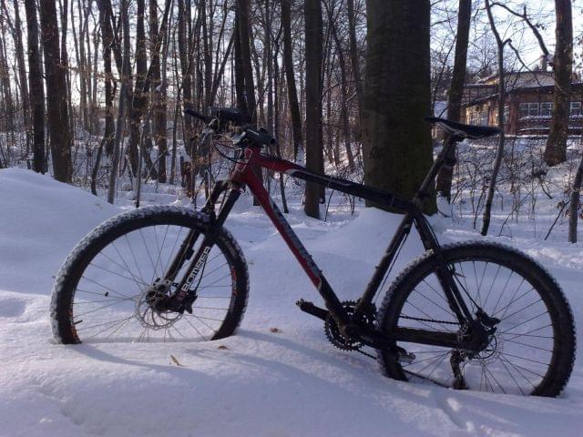 evo w trzebnicy