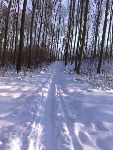 trzebnica - tu �e�my z koleg� Chaozzem darli pod g�rk�-prawie jak singletrack;]