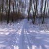 trzebnica - tu �e�my z koleg� Chaozzem darli pod g�rk�-prawie jak singletrack;]