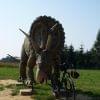 dinozaury na podkarpaciu? 