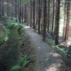 "trasa rowerowa"