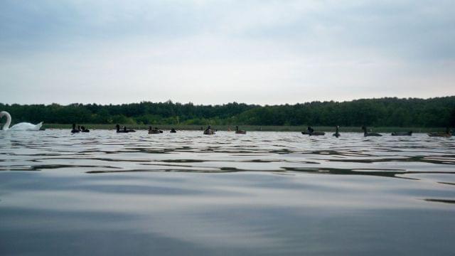 Jezioro Sława Jezioro Sława