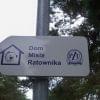 W Ko�obrzegu