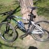 Zdj�cie0349