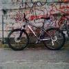 Zdj�cie0992
