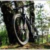IMG 0004 IMG 0004