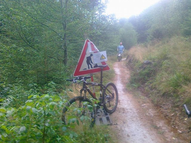 remont singla