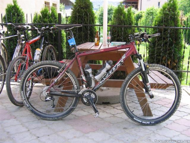 Kelly's Magnus 2006