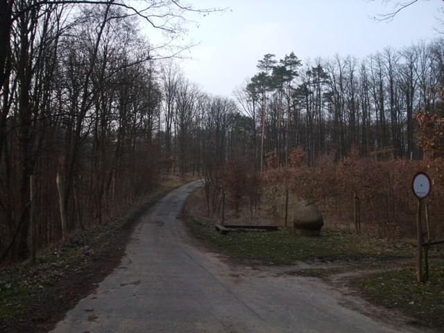 Wycieczki po okolicach Łabiszyna