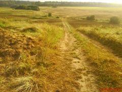 DSC00935.JPG
