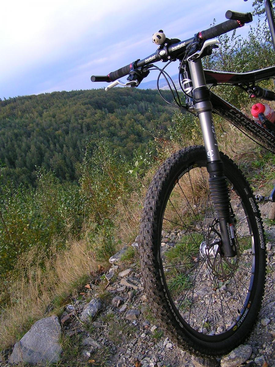 Cannondale Rize 5