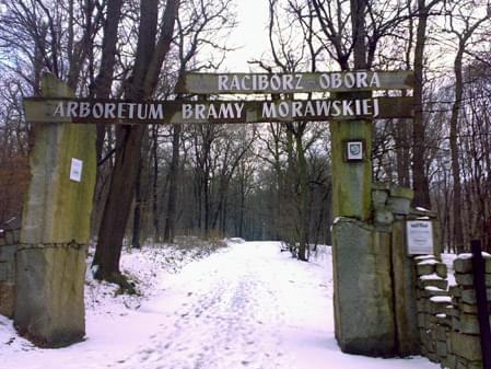 ''Arboretum Bramy Morawskiej'' -  Racibórz Obora