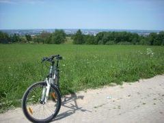 DSCN1464.jpg