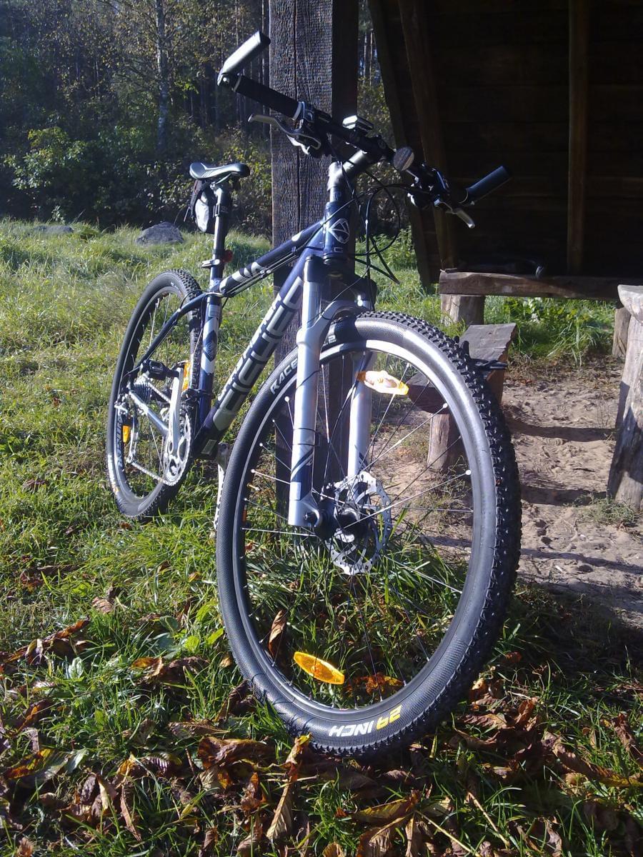 Mój GF Cobia