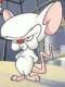 RamDoss