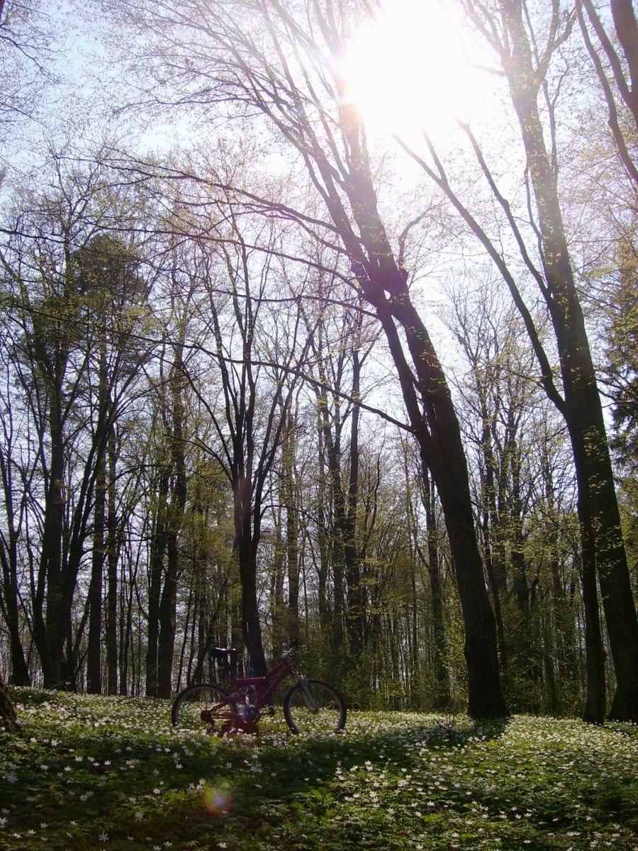 Mazury Bike