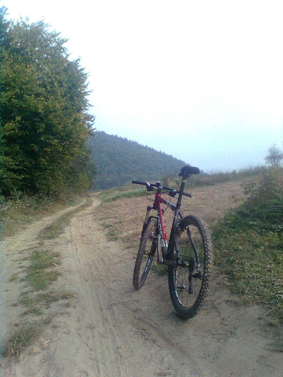 Wycieczka
