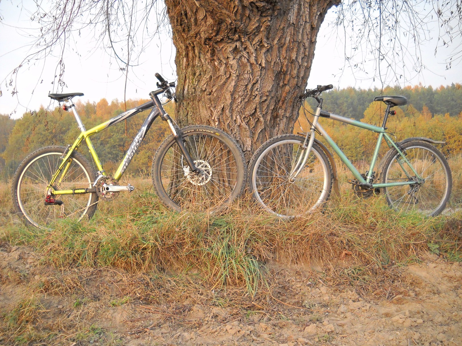Rowerki