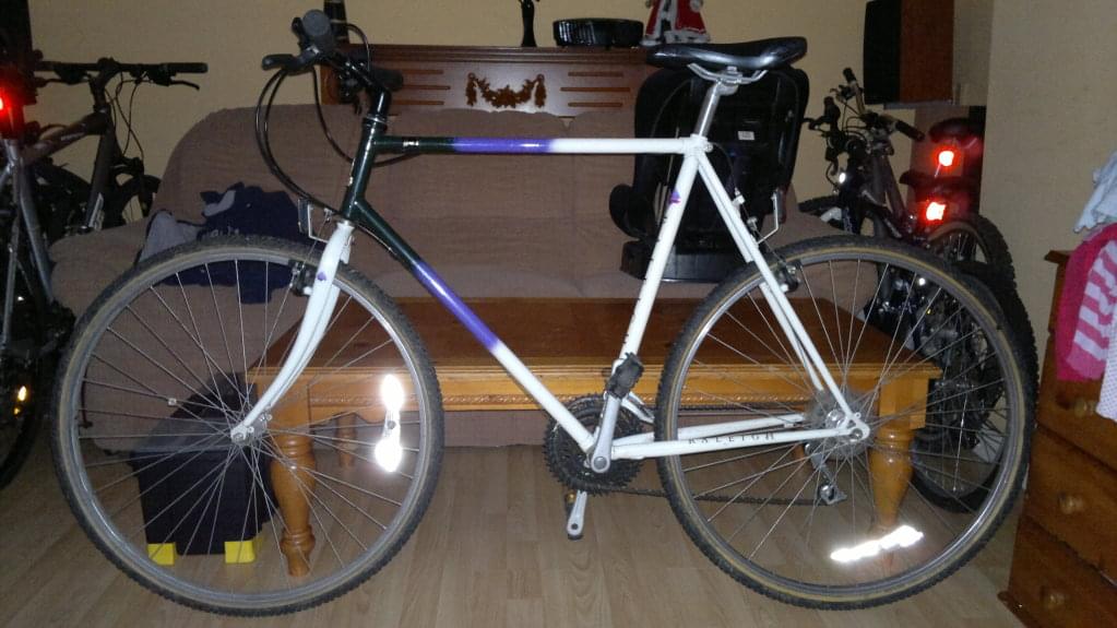 Raleigh Pioneer spirit