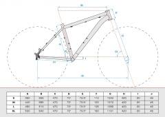 Accent Peak Geometry 26