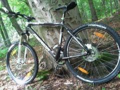 Carbon FLX-Race-D