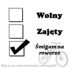 Wolny, zajęty..