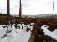 Cannock Chase