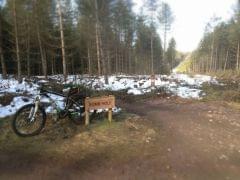 Cannock Chase - Bomb Hole