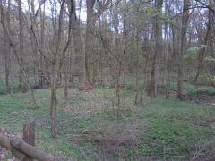 2013 04 29 17.30.46