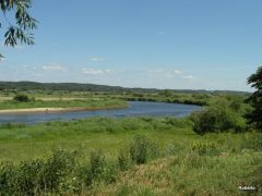 Kurpie 2011, meandrująca Narew