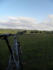 Unibike Evo 29er