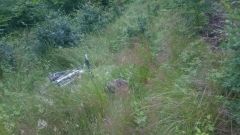 Piniek: ukryty w trawie, niewidoczny, zastawiajacy pułapki na nieświadomych rowerzystów....