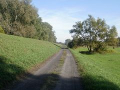 Wał nad Wisłą - gmina Leoncin