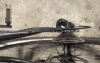 post-174882-0-19246700-1469639050_thumb.gif
