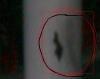 post-134034-1285600472,51_thumb.jpg