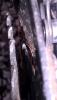 post-192069-0-83806600-1474371872_thumb.jpg