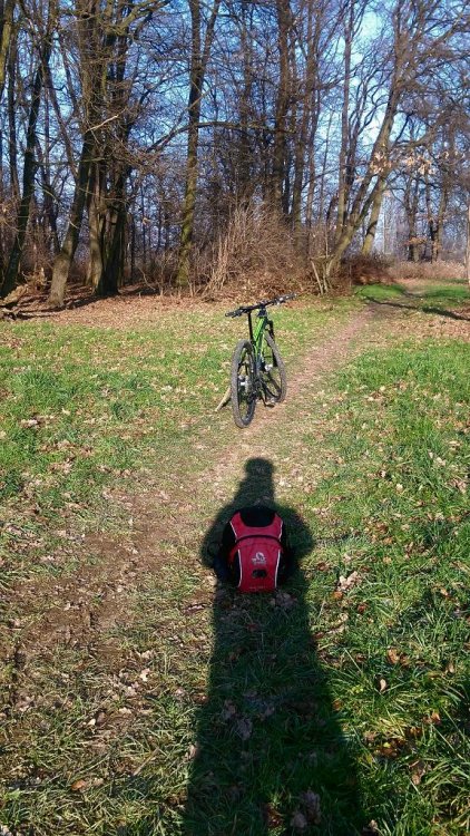 Trek,15.01.2018r.,Wrocław.jpg