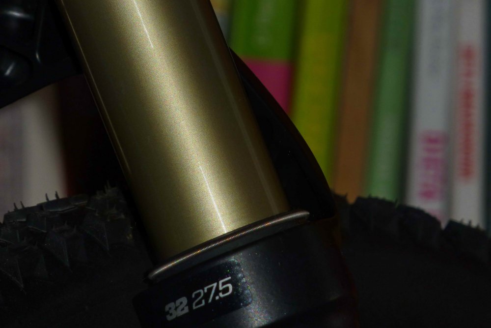 P1220138.JPG