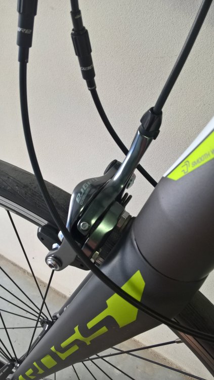 WP_20180523_17_39_01_Pro.jpg