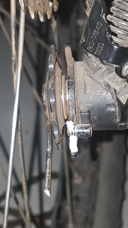 20190423_213654[1].jpg