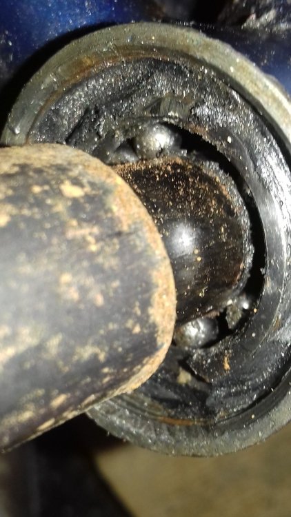20190406_225224.jpg