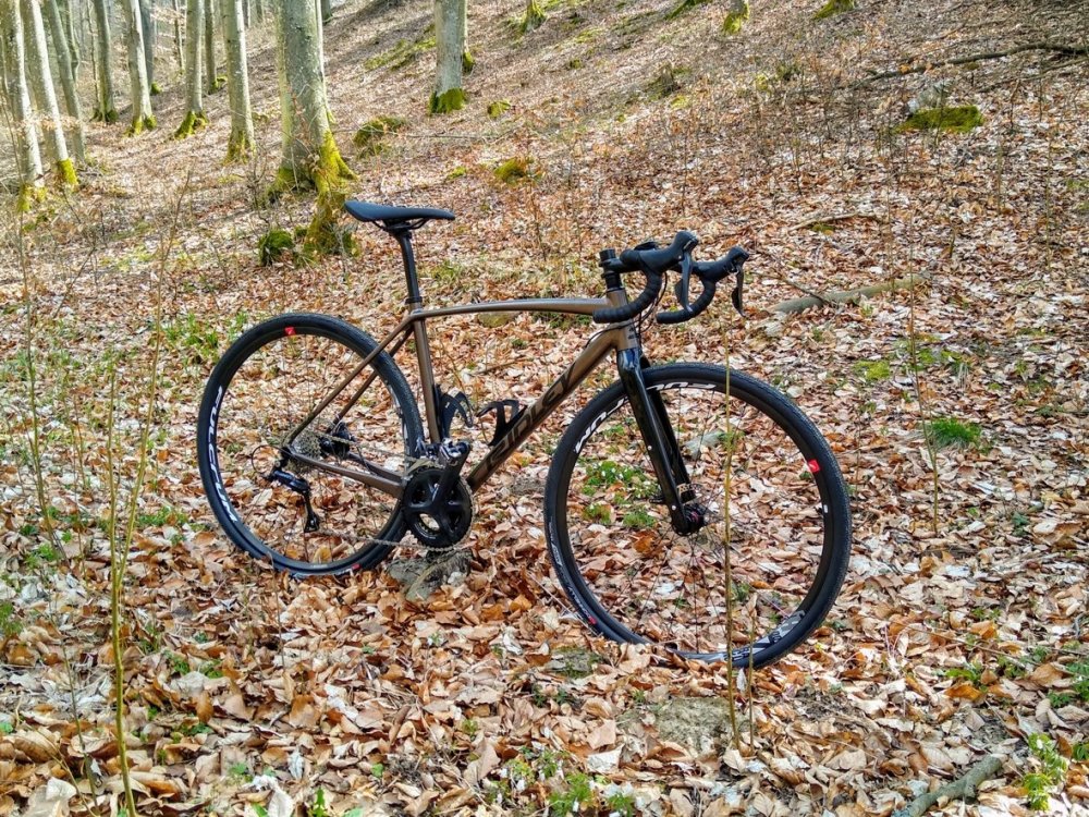 ridley x-trail alloy.jpg