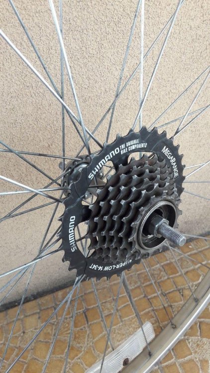 wolnobieg Shimano.jpg