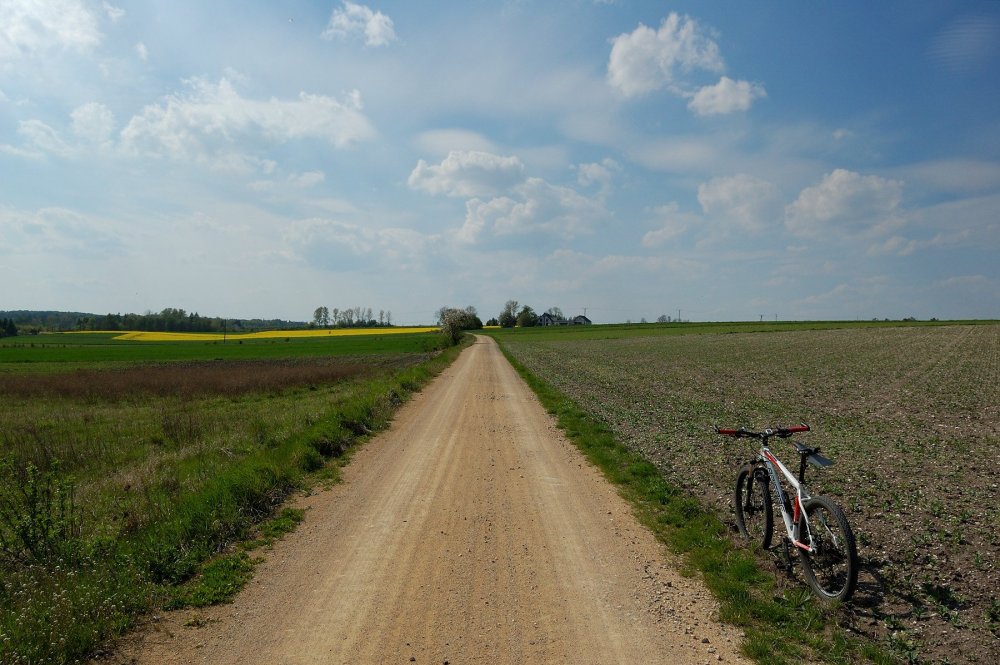 DSC_00122.jpg