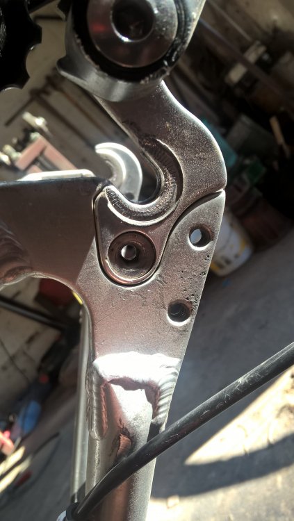 WP_20200903_08_01_55_Pro.jpg